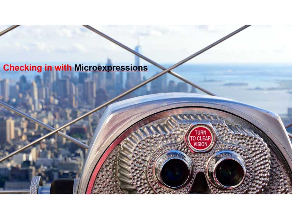 Checking in with microexpressions