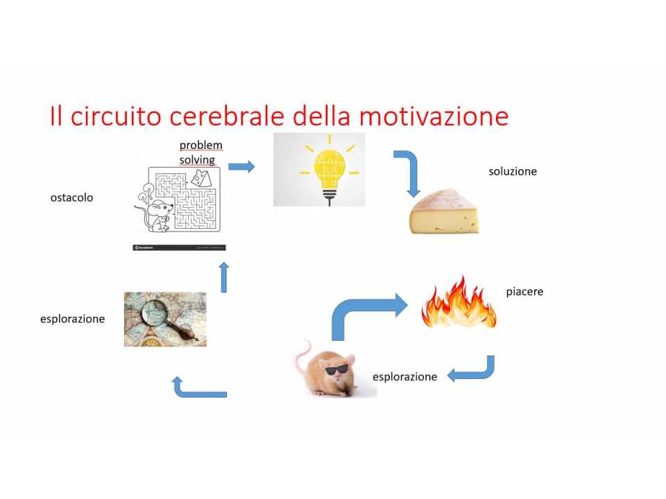 Motivarsi e motivare: flessibilità, passione e attitudini personali