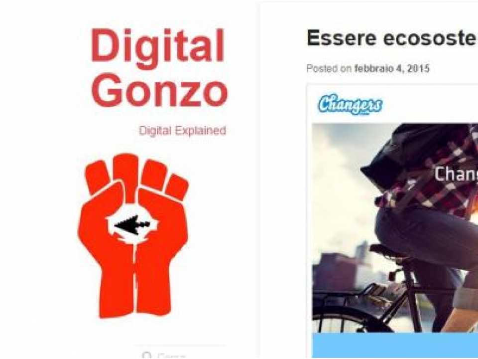 Digital Gonzo - digital explained