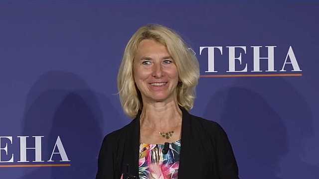 The European economic framework: focus on the green transition