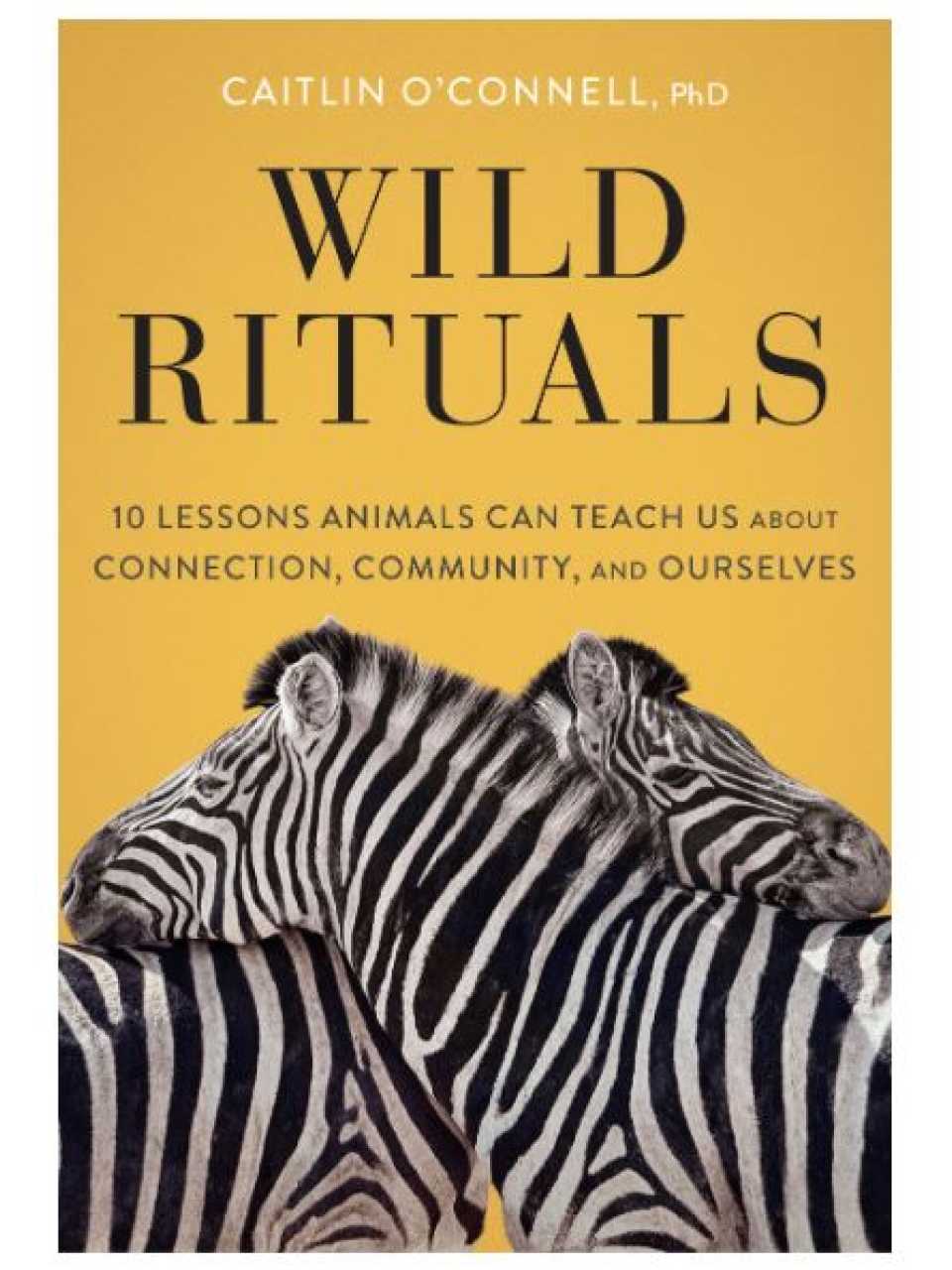 WEBINAR LIVE
Wild Rituals: cosa leader e organizzazioni possono imparare dagli animali