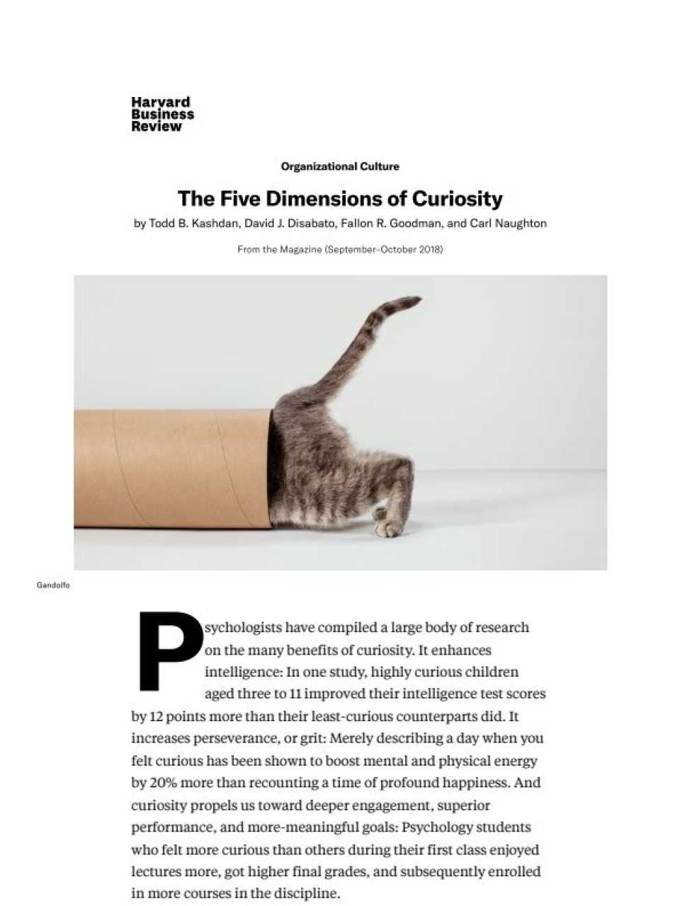 The five dimensions of curiosity